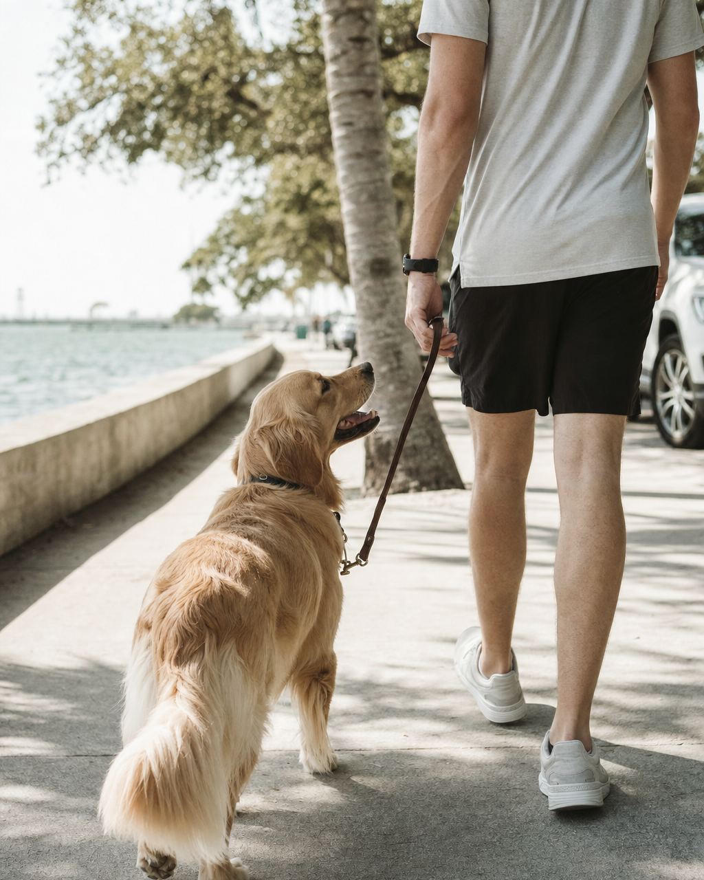 After training the transition happens to your everyday life through your everyday life